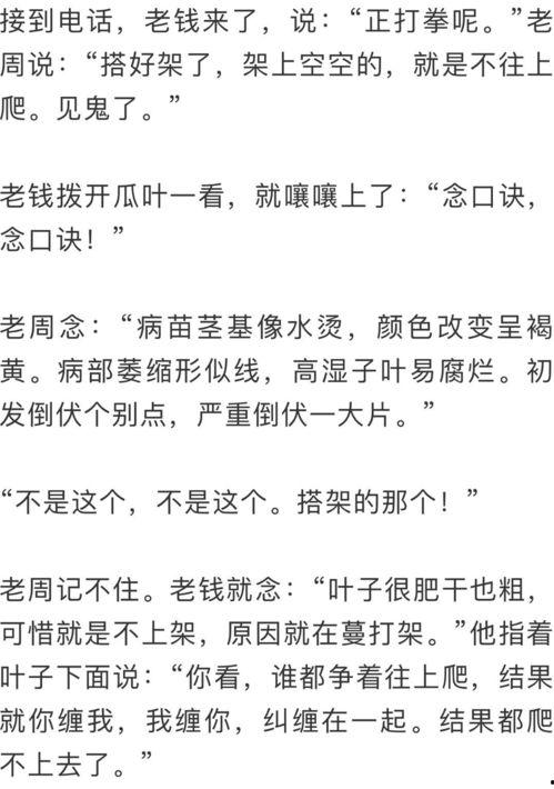 时光如梭吃瓜群众,吃瓜群众见证时代变迁  第3张